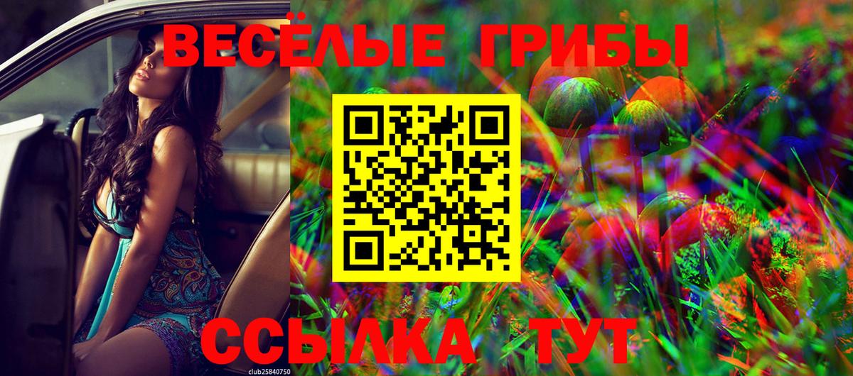 Псилоцибиновые грибы ЛСД  Вход с VPN  Гуково 